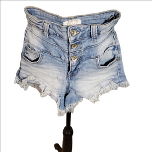 Ariya Jeans Acid Wash Distressed Raw Hem Jean Shorts 1/25
